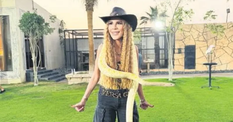 Tasmayla aslan gezdirdi yılanı boynuna doladı