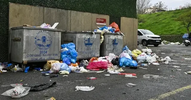 CHP’li Maltepe Belediyesi’nde işçiler iş bıraktı: Caddeler sokaklar çöplerle dolup taştı VİDEO İZLE