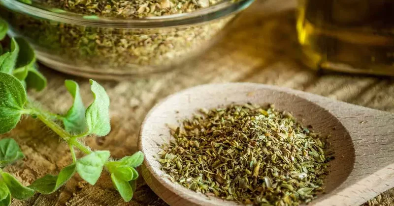 Kanserden koruyor, iltihabı yok ediyor! Sağlığınıza en güçlü yatırım...