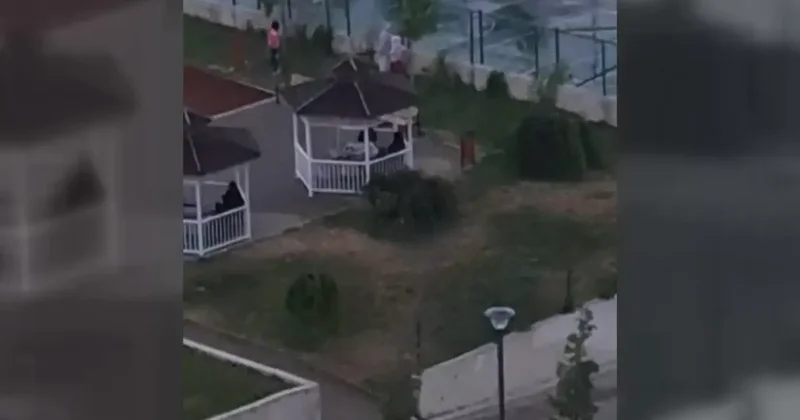 2 kardeşe saldıran pitbulun sahibi tutuklandı! Köpeği tasmasız gezdirdiği anlar kamerada