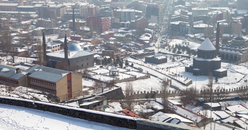 Eti, yumurtası, tüyü altın değerinde: Köylü işini gücünü bıraktı bu hayvanın peşine düştü Sözcü Gazetesi