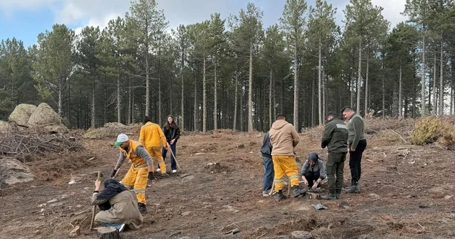 Kırşehir den gelen üniversite öğrencileri Çine de fidan dikti Aydın Haberleri