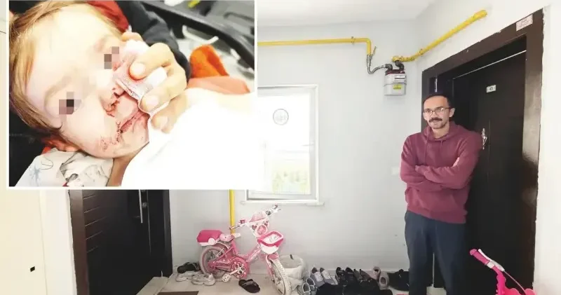 Pitbull’un sahibi tutuklandı: 12 kere şikayet edilmiş Yerel Gündem Haberleri