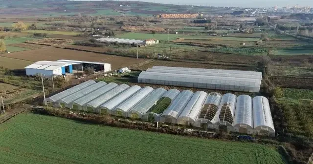 Tekirdağ’da üreticilere devlet destekli sera naylonu dağıtıldı VİDEO İZLE