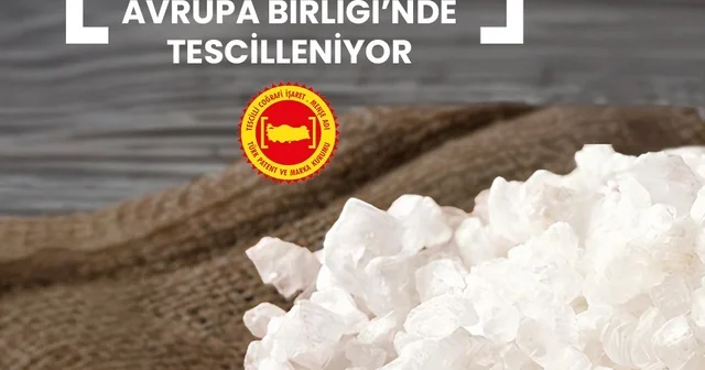 Delice doğal kaynak tuzunun tescili, AB nin Resmi Gazetesi nde yayımlandı Kırıkkale Haberleri
