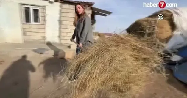 İstanbul dan köyüne dönüp hayvancılığa başlayan kadın 3 yılda sürüsünü 4 e katladı