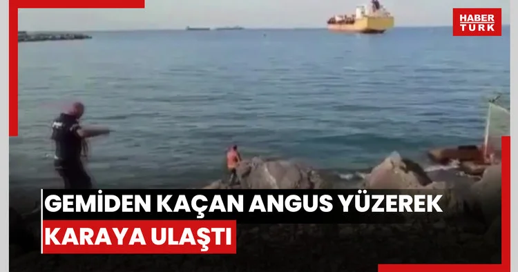 Gemiden kaçan angus yüzerek karaya ulaştı