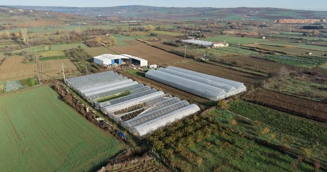 Tekirdağ da 70 futbol sahası büyüklüğünde sera naylonu dağıtıldı Tekirdağ Haberleri