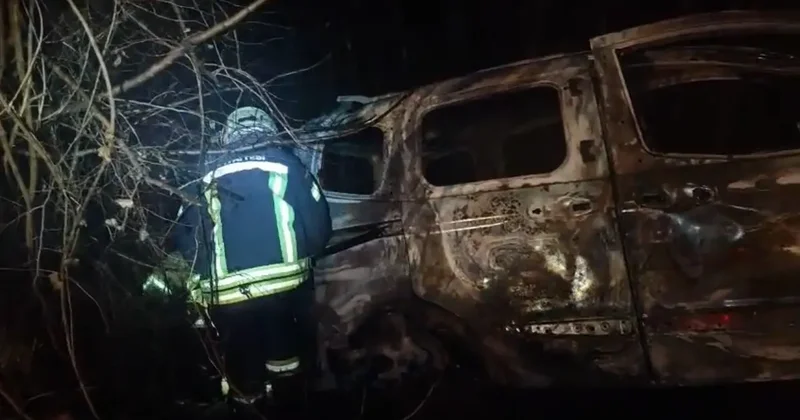 Ağaca çarpan araç alev alev yandı