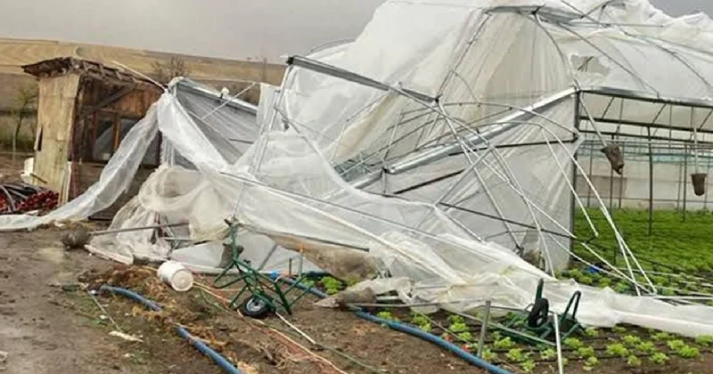 Tarım sigortaları kapsamında üreticilere 4,2 milyar lira hasar tazminatı ödendi