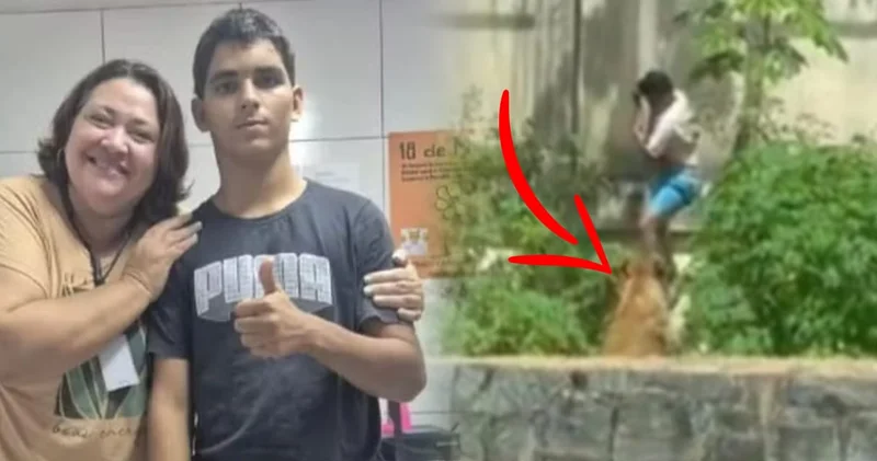 Aslana canlı yem oldu! Dehşet anları saniye saniye kamerada