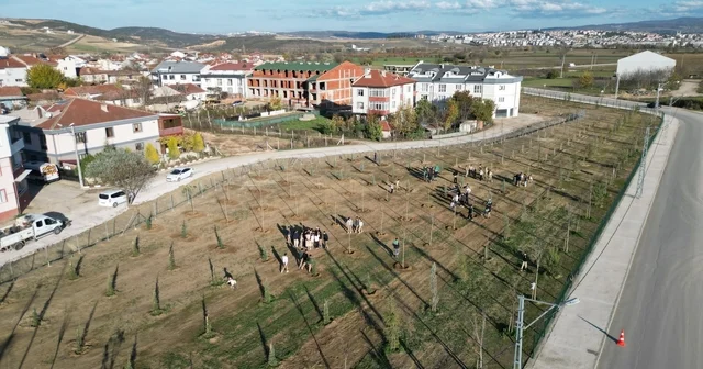 572 fidanlı koruluk Akhisan a nefes olacak Bursa Haberleri