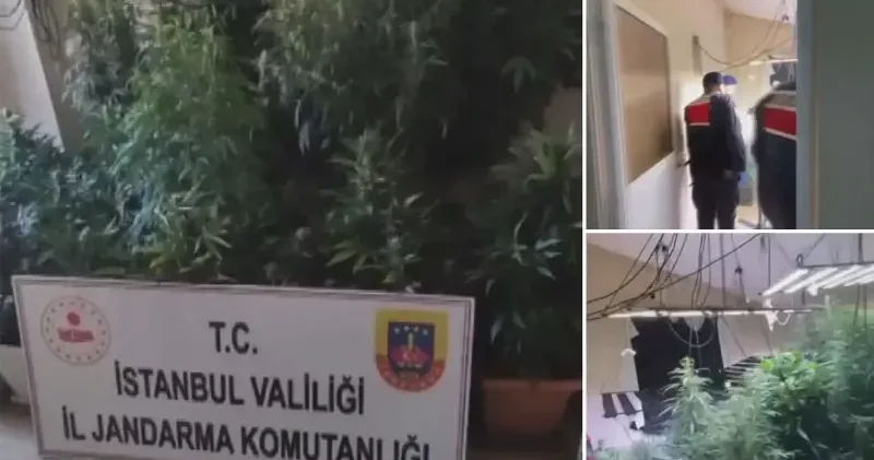 580 gündür aranan şahıs saklandığı evini zehir yuvası na çevirmiş İstanbul Haberleri