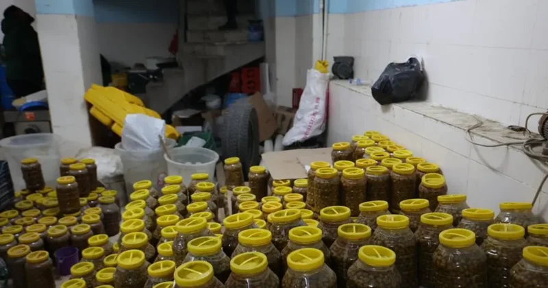 Kilis te mide bulandıran hijyen skandalı: Ölü fareler bu kadar olmaz dedirtti!