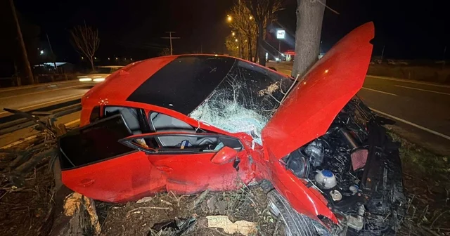 Eskişehir de ağaca çarpan otomobilin sürücüsü ağır yaralandı Eskişehir Haberleri