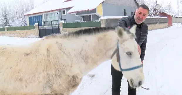 Muş haberleri Muş ta kışın ölüme terk edilen canlara sahip çıkıyor 03 Ocak 2026