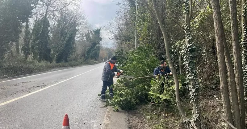 İstanbul için uyarı! Fırtına devam edecek: Çok sayıda ağaç devrildi
