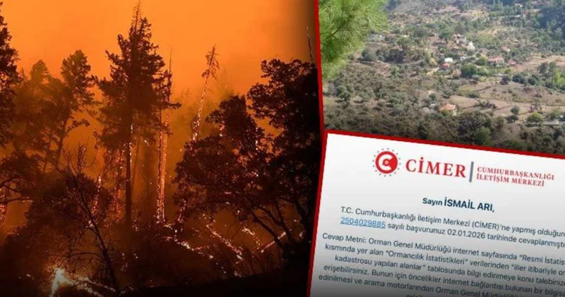 Orman vasfını yitiren alanları sordu: CİMER den gelen dalga geçer gibi yanıt pes dedirtti