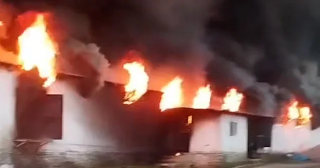 Uşak ta tavuk çiftliğinde çıkan yangın hasara neden oldu VİDEO İZLE