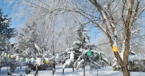Elazığ haberleri Elazığ da termometreler eksi 22 yi gösterdi 03 Ocak 2026