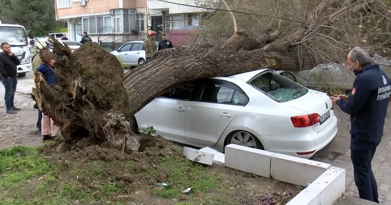 İstanbul da lodos ağaçları devirdi: 1 saniyeyle kurtuldum Sözcü Gazetesi