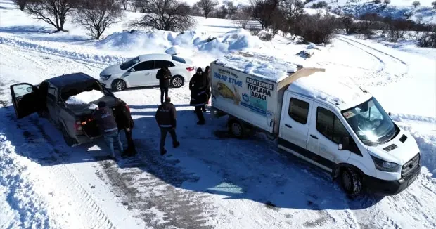 Elazığ haberleri Yer: Elazığ! Karlı yolları açıp sahipsiz hayvanları besliyorlar 03 Ocak 2026