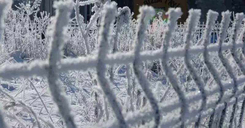 Türkiye Sibirya soğuklarına teslim: Termometreler eksi 40 dereceyi gördü