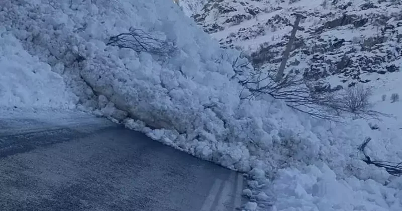 AFAD uyarmıştı! Hakkari Çukurca kara yoluna çığ düştü