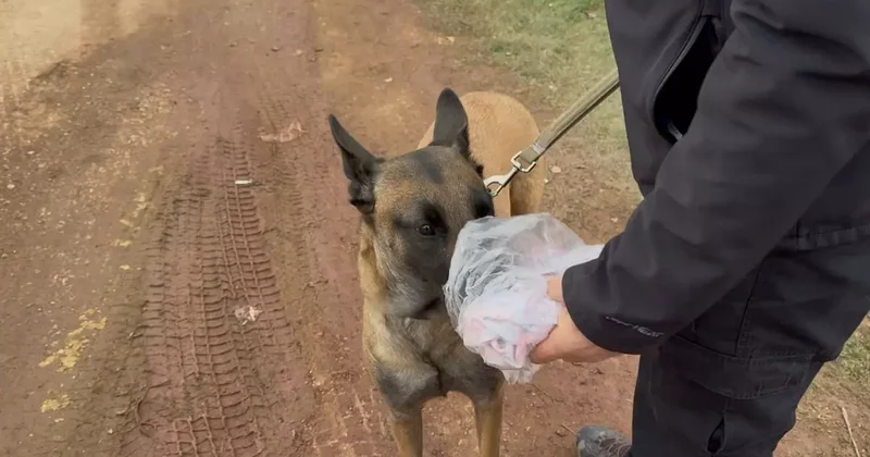 7. gün Kapıdağ da umut nöbeti sürüyor