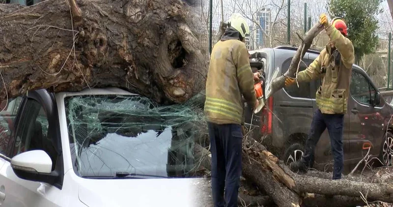 Lodos İstanbul u esir aldı! Bir saniyeyle ölümden kurtuldu