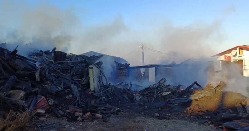 Samsun da gece yarısı yangın: 2 ev kül oldu