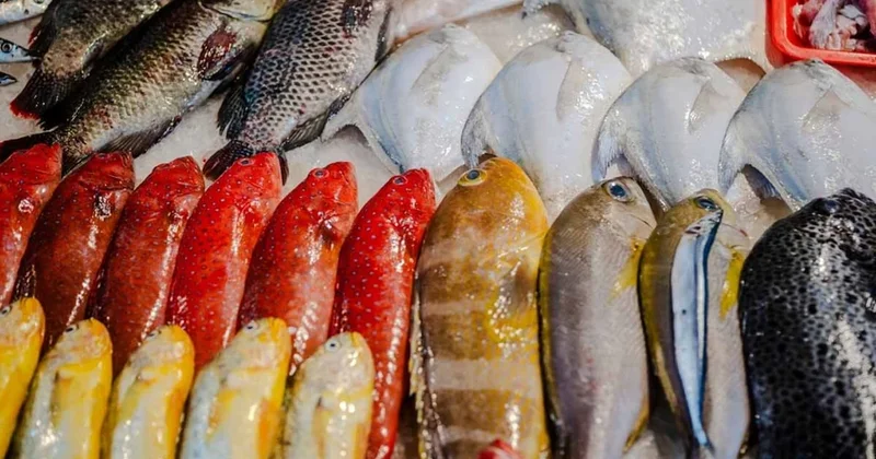 Kışın evlerden eksik edilmemesi gereken 3 balık var, özellikle bir tanesi kış yorgunluğuna birebir... Sözcü Gazetesi