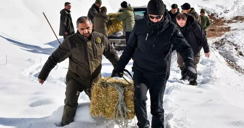Gümüşhane’de aç kalan yaban hayvanları için seferberlik
