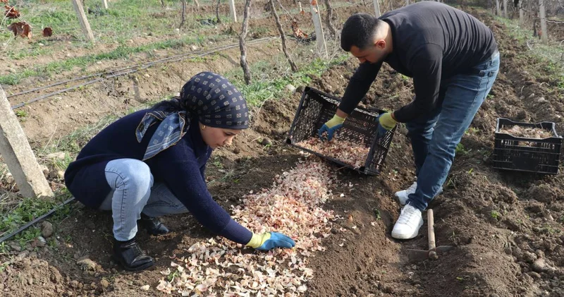 Tekstili bıraktı toprağa döndü: Adana’dan Hollanda’ya ihraç etmeye başladı