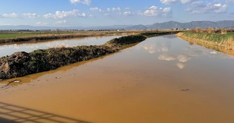 Menderes Nehri taştı: 2 bin dönümlük arazi sular altında kaldı