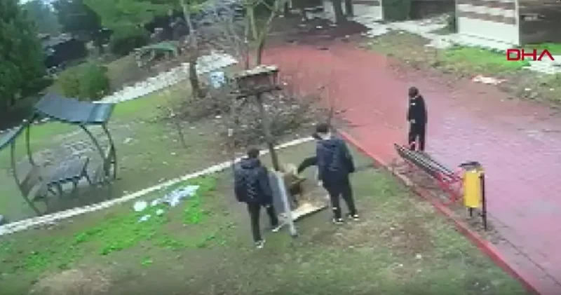 Kuş yuvasını düşürüp parçalamışlardı: Çocuklar hakkında ev hapsi