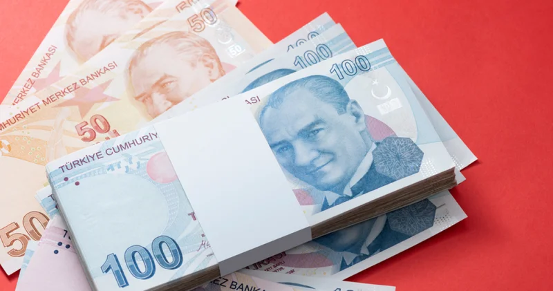 Vatandaşlık maaşı uygulaması detayları netleşiyor: Kimler vatandaşlık maaşı alabilecek, hangi illerde uygulama başlayacak?