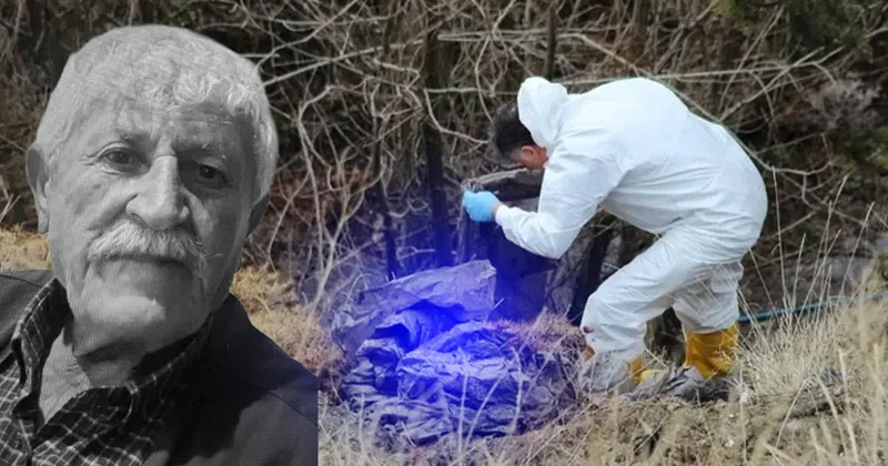 Bağ evinde öldürdü, 6 parçaya ayırdı: Kayıp baş vahşetinde cinayeti itiraf etti!