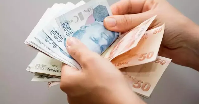 Cebinizden 46.000 TL çıkacak! Hatayı yapan ehliyetinden de olacak