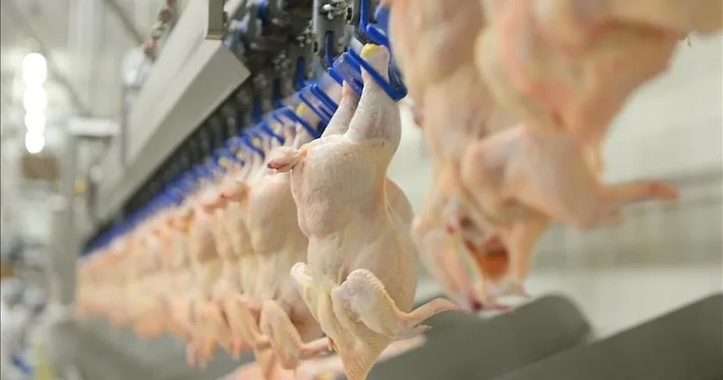 Banvit’ten Rekabet Kurulu’nun yaklaşık 1 milyar TL lik cezasına ilişkin açıklama Sözcü Gazetesi