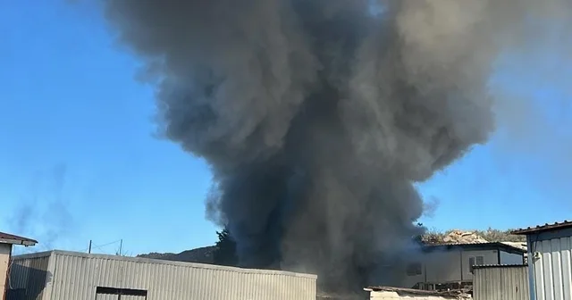 Bodrum da işçilerin kaldığı konteyner alevlere teslim oldu Muğla Haberleri