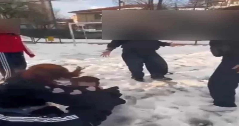 Kendilerinden küçük kızlara zorbalık yaptılar: O anları telefonla kaydettiler