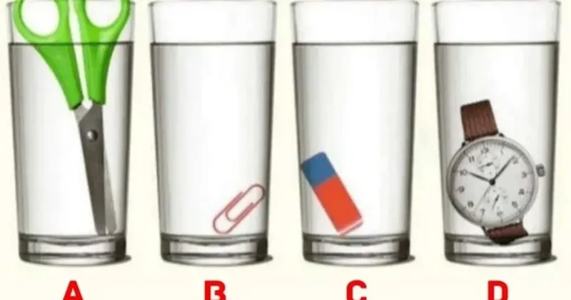 Ne kadar akıllı olduğunu öğrenmek için bardaklardan birini seçin Sözcü Gazetesi