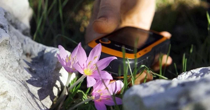 GPS verileri incelendi; orkidelerde kaçak söküm alarmı