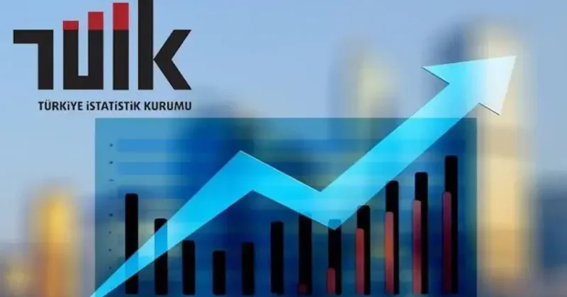 TÜİK enflasyon sepetini güncelledi: 30 ürün gitti 38 ürün geldi