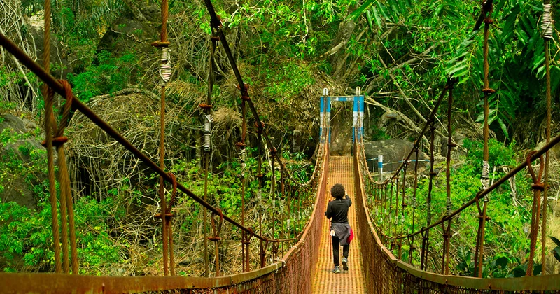 Çivi yok, çelik yok, beton yok: Bu köprüyü insanlar yapmıyor Sözcü Gazetesi