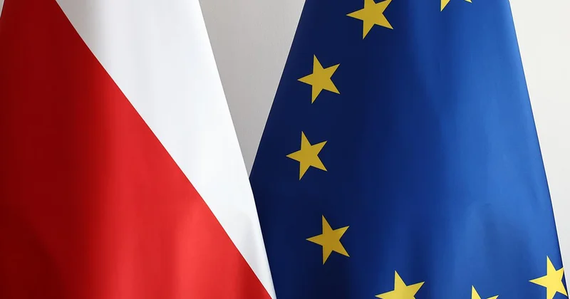 Polonya Savunma Bakanlığı çalışanı, Rusya için casusluk yaptığı şüphesiyle gözaltına alındı