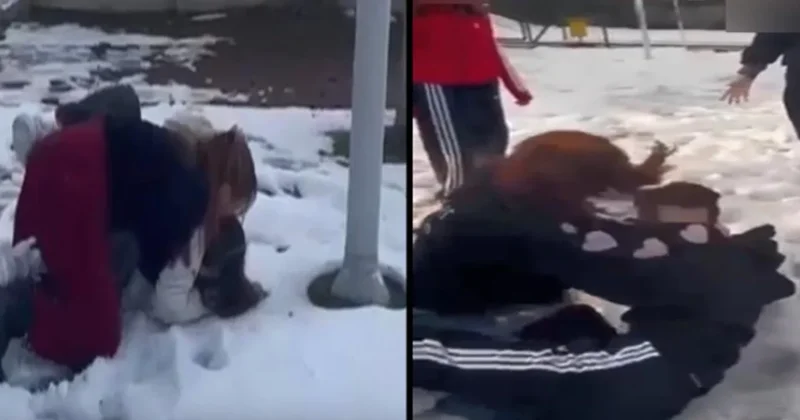 Öğrenci gençliğin çığırından çıkışının fotoğrafı Sözcü Gazetesi