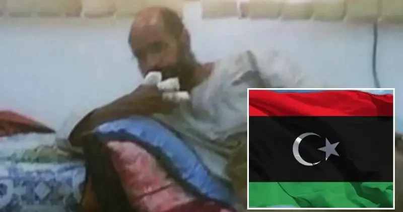 Libya basını: Kaddafi nin büyük oğluna evinde suikast Afrika Haberleri