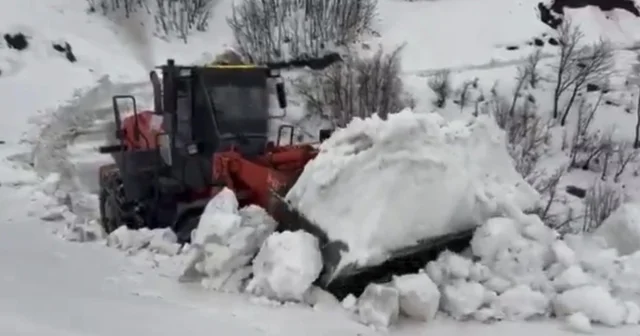 Yedisu da kar kalınlığı 1 metreyi aştı, ekiplerin mücadelesi sürüyor Bingöl Haberleri